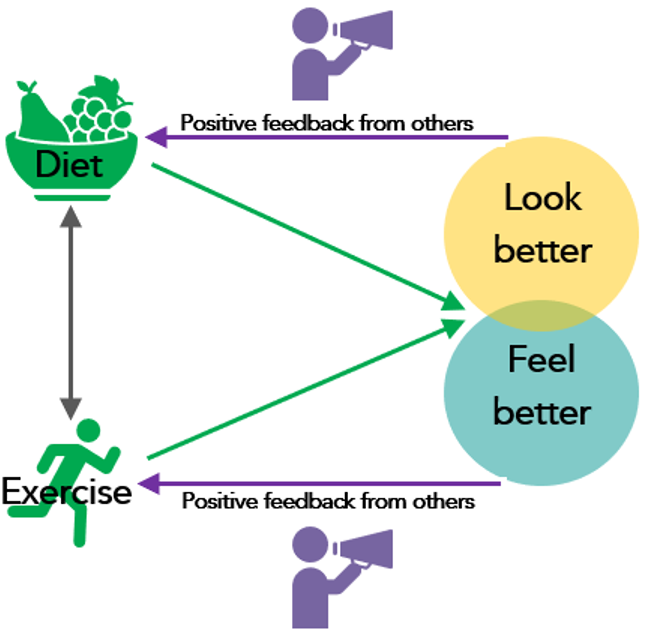 logic model for research project